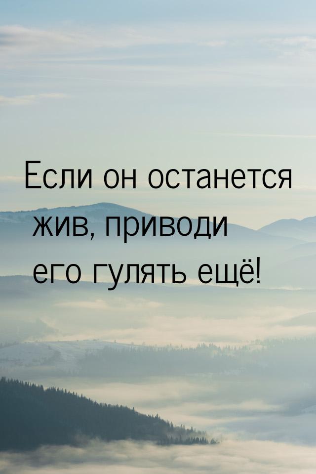 Если он останется жив, приводи его гулять ещё!