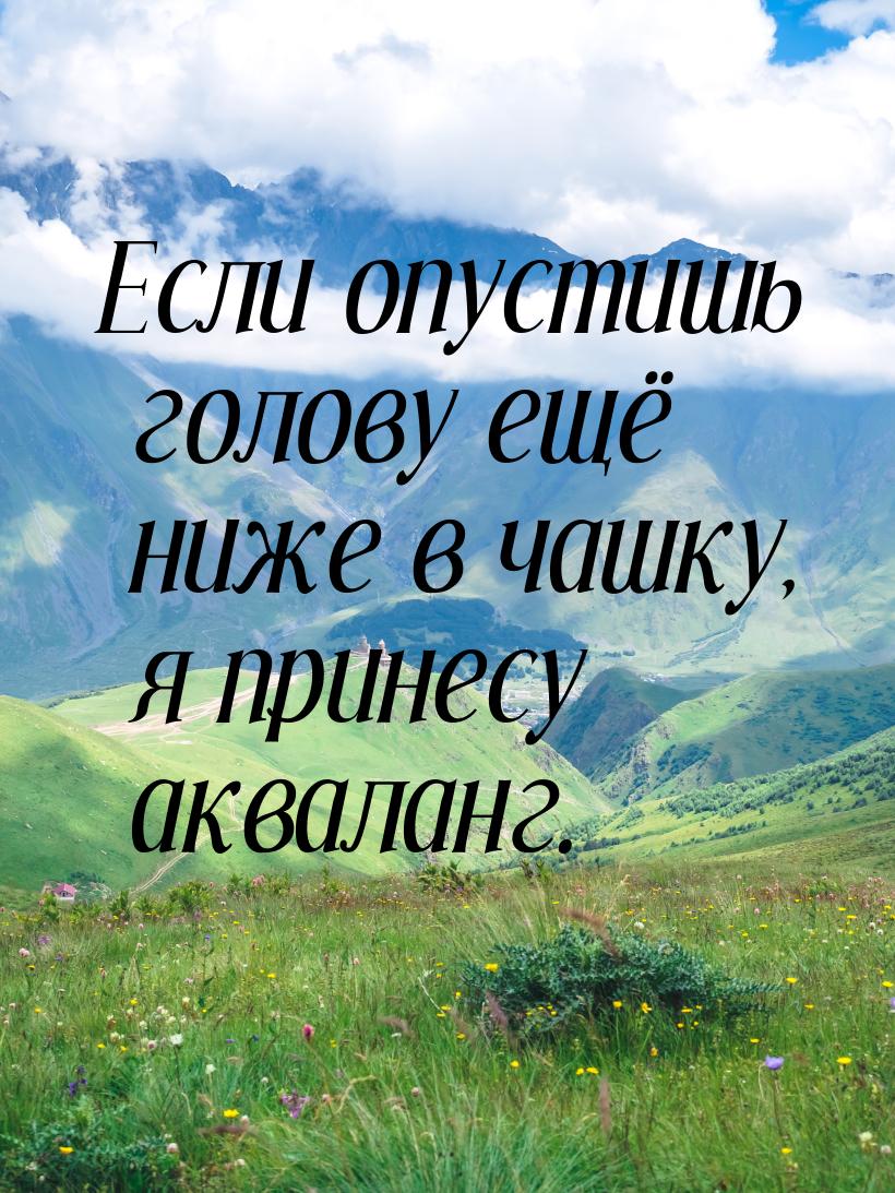 Если опустишь голову ещё ниже в чашку, я принесу акваланг.