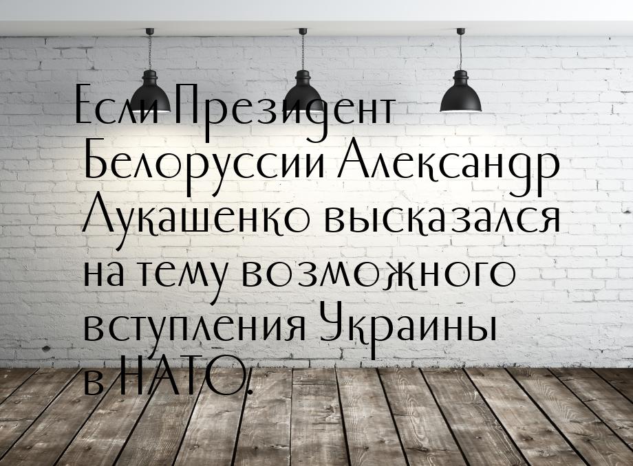 Если Президент Белоруссии Александр Лукашенко высказался на тему возможного вступления Укр