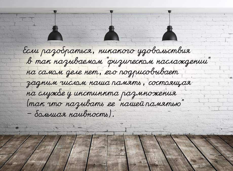 Если разобраться, никакого удовольствия в так называемом “физическом наслаждении” на самом