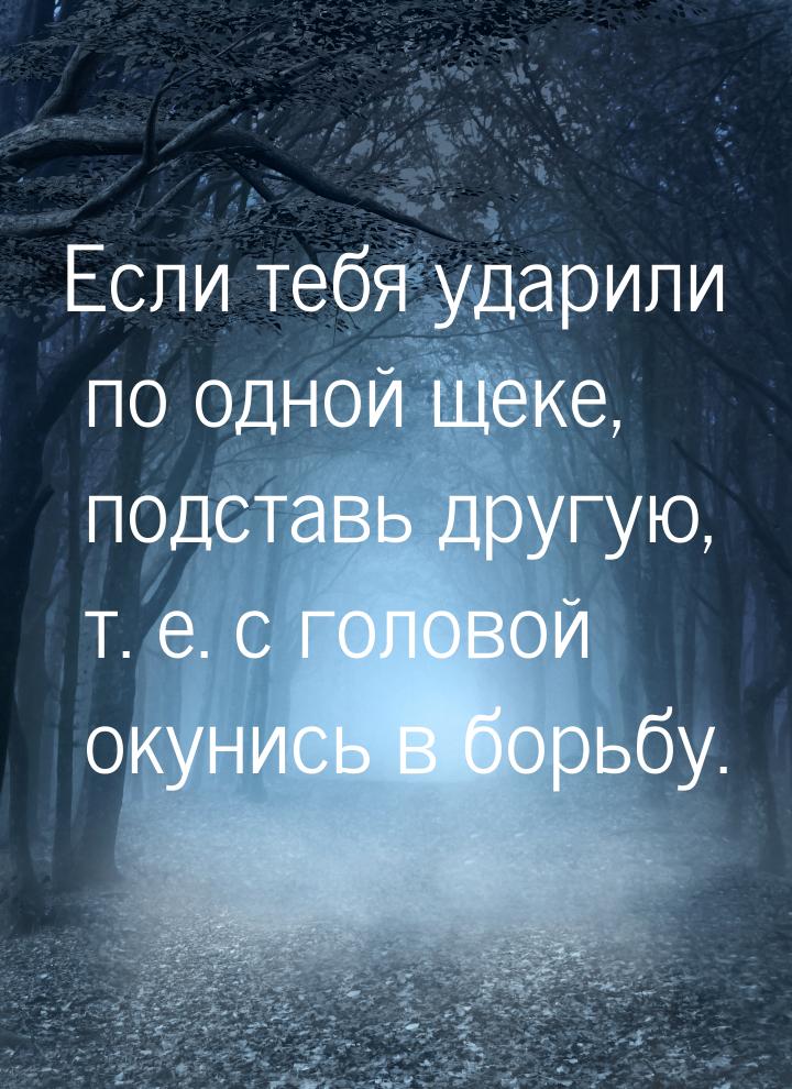 Если тебя ударили по одной щеке, подставь другую, т. е. с головой окунись в борьбу.