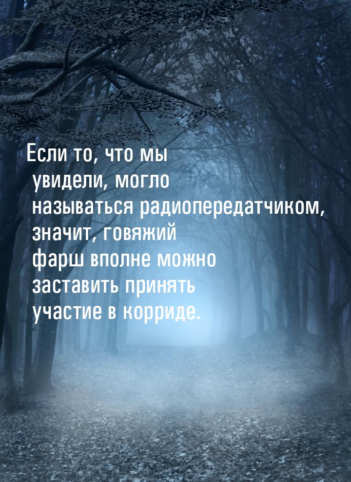 Если то, что мы увидели, могло называться радиопередатчиком, значит, говяжий фарш вполне м