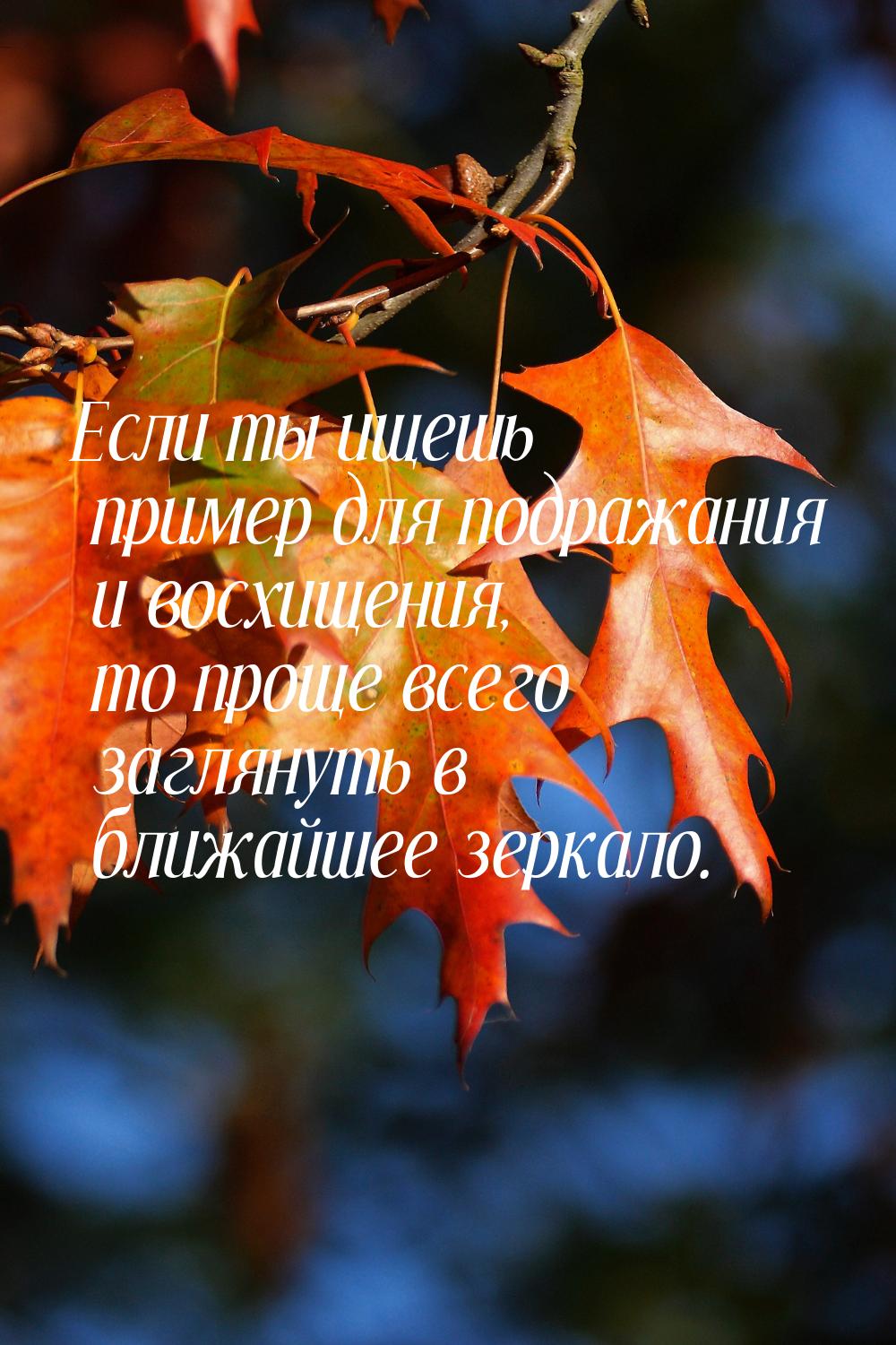 Если ты ищешь пример для подражания и восхищения, то проще всего заглянуть в ближайшее зер