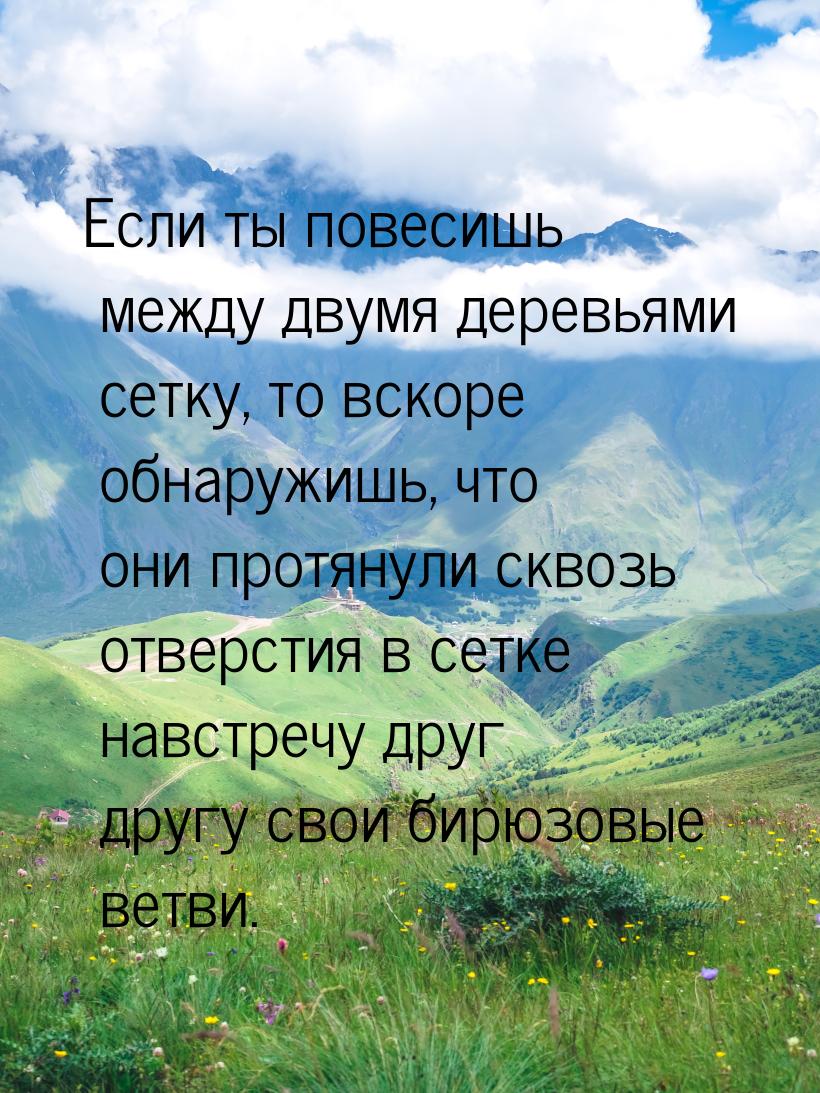 Если ты повесишь между двумя деревьями сетку, то вскоре обнаружишь, что они протянули скво