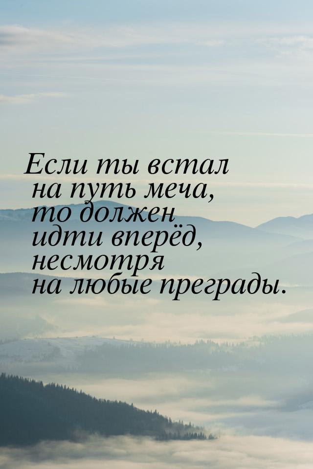 Если ты встал на путь меча, то должен идти вперёд, несмотря на любые преграды.