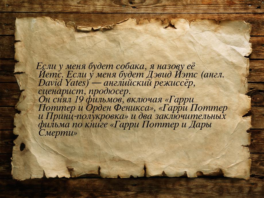 Если у меня будет собака, я назову её Йетс. Если у меня будет Дэвид Йэтс (англ. David Yate