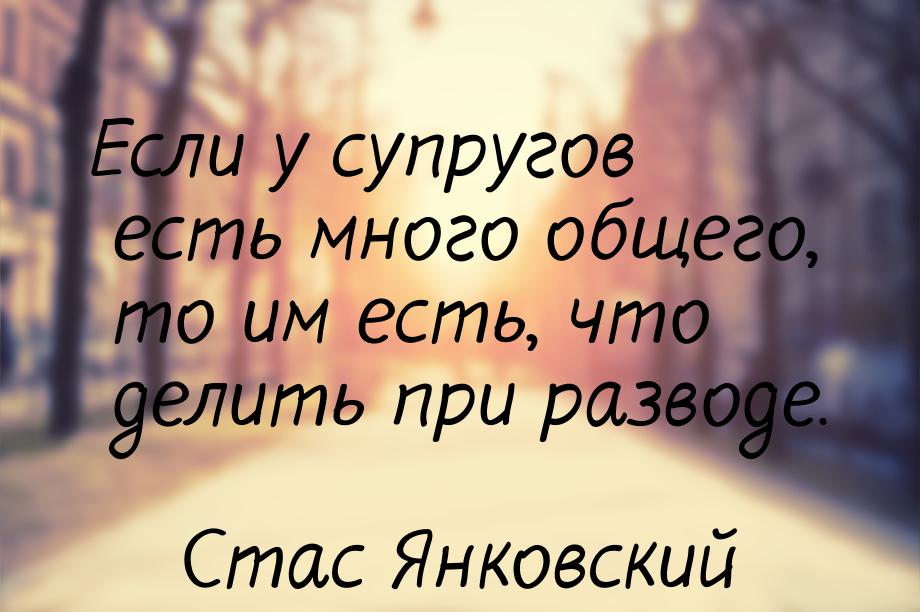 Если у супругов есть много общего, то им есть, что делить при разводе.