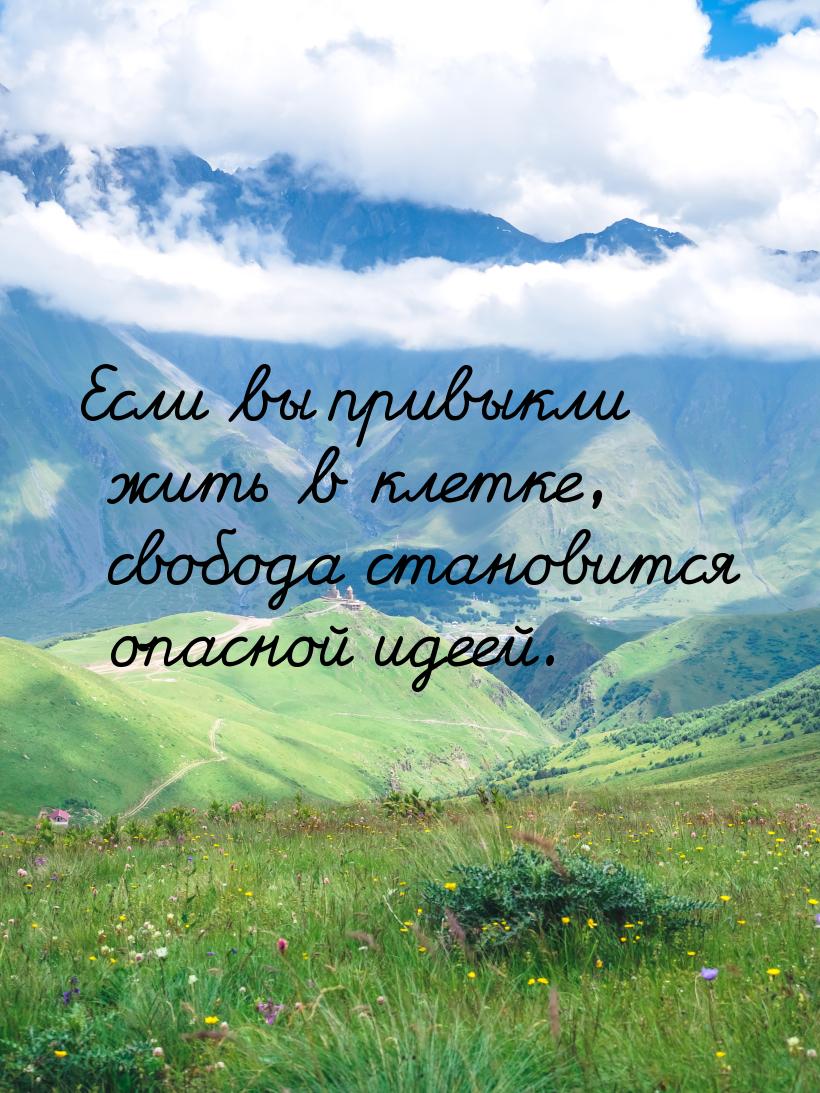 Если вы привыкли жить в клетке, свобода становится опасной идеей.