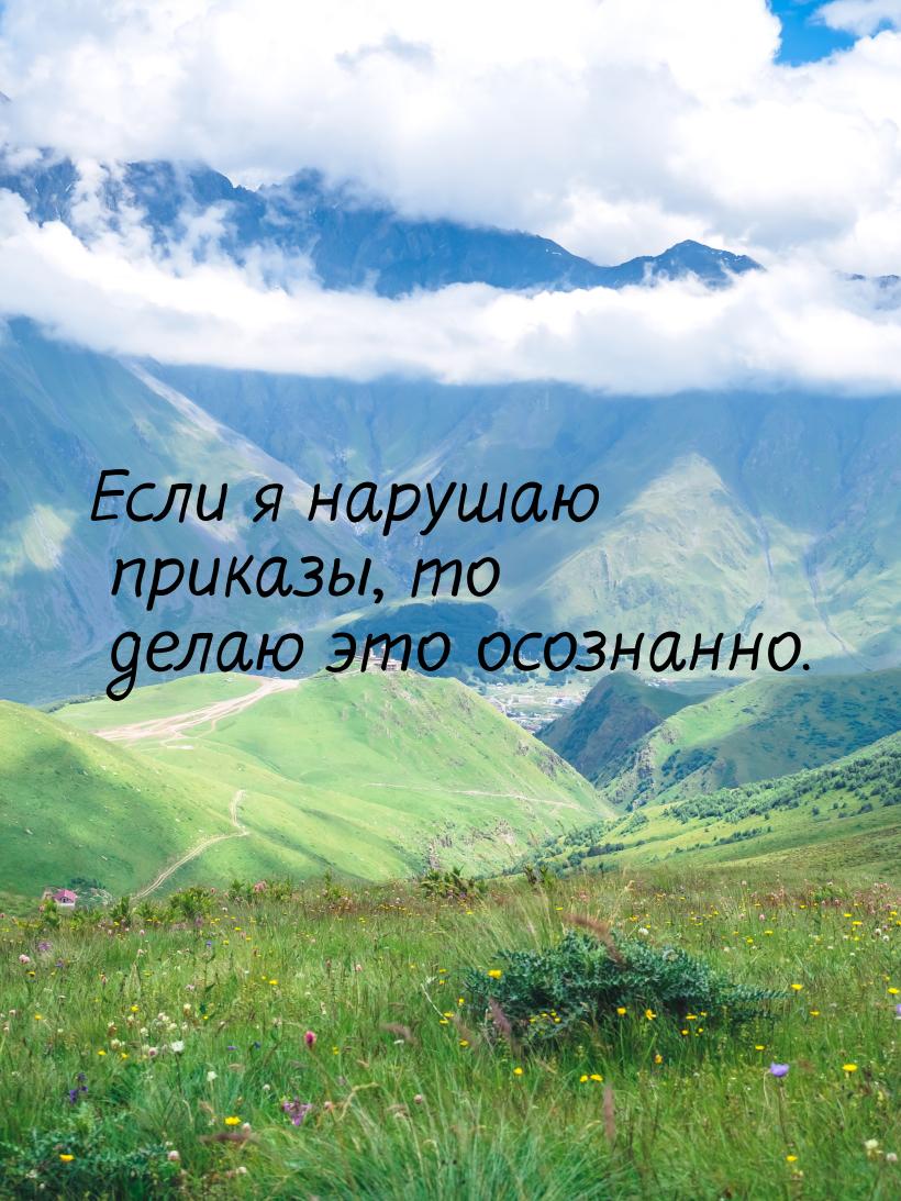 Если я нарушаю приказы, то делаю это осознанно.