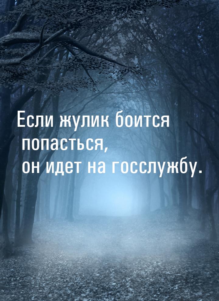 Если жулик боится попасться, он идет на госслужбу.