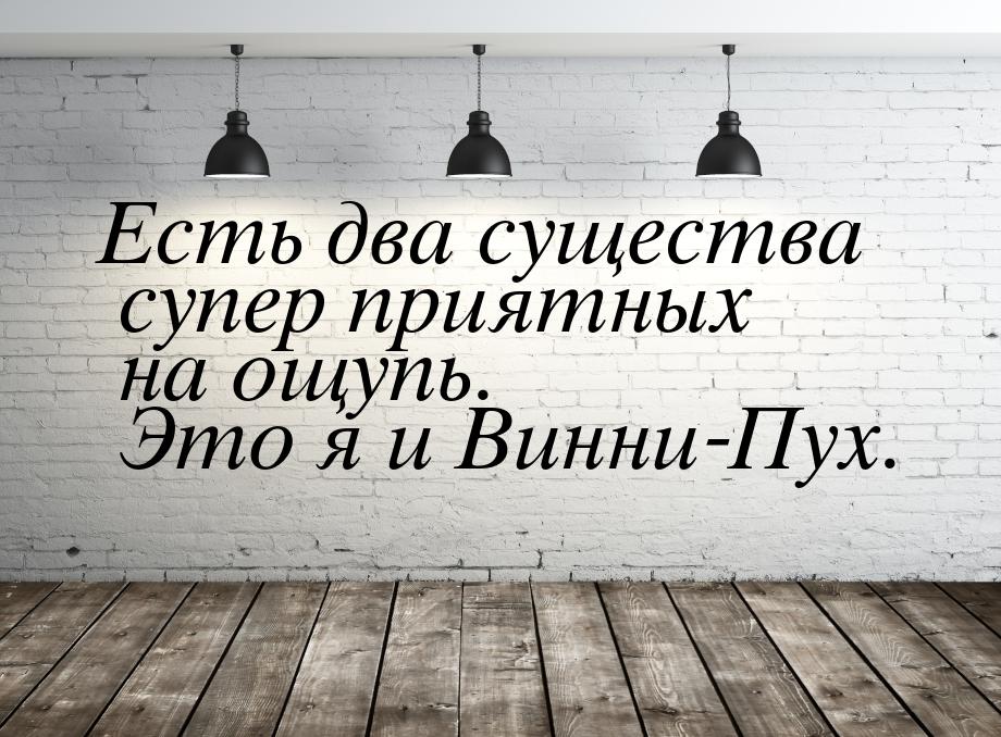 Есть два существа супер приятных на ощупь. Это я и Винни-Пух.