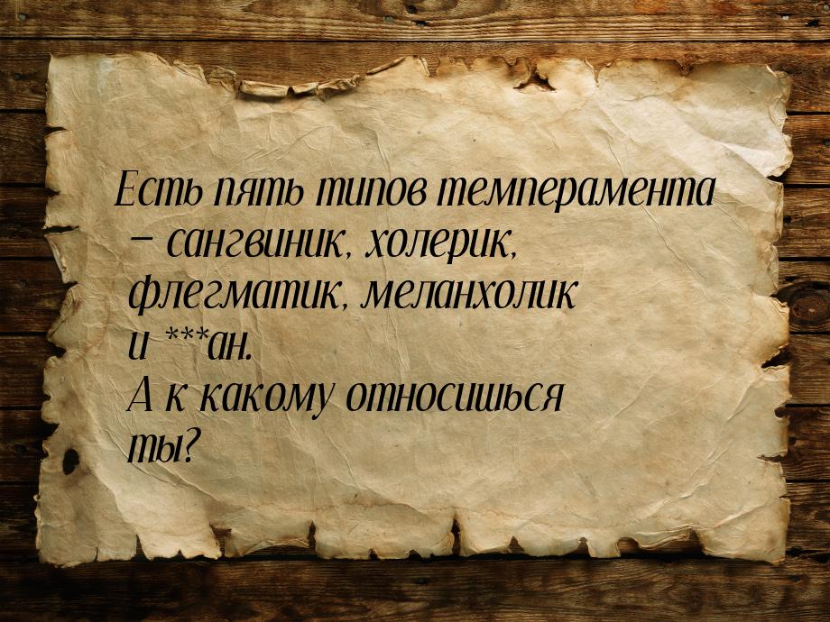 Есть пять типов темперамента  сангвиник, холерик, флегматик, меланхолик и ***ан. А 