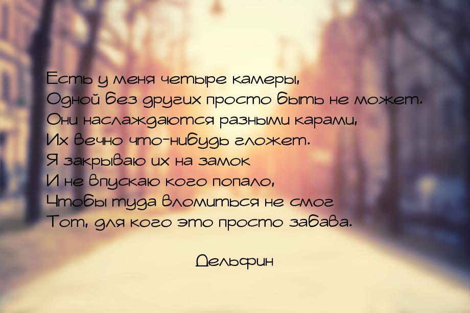 Есть у меня четыре камеры, Одной без других просто быть не может. Они наслаждаются разными