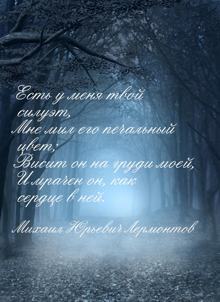 Есть у меня твой силуэт, Мне мил его печальный цвет; Висит он на груди моей, И мрачен он, 