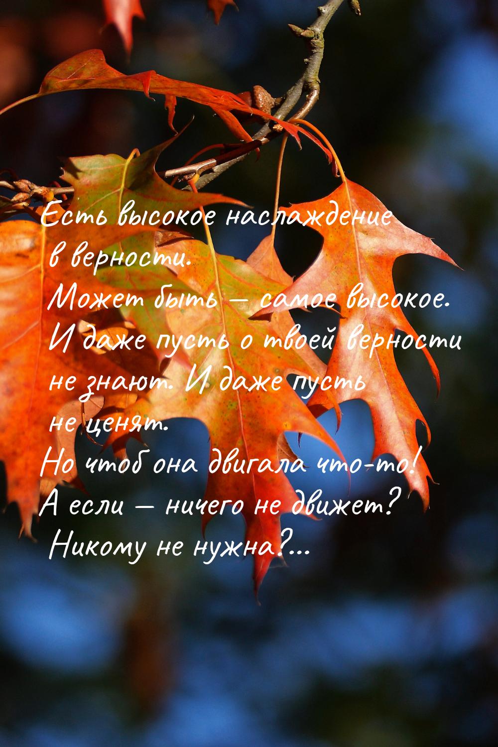 Есть высокое наслаждение в верности. Может быть — самое высокое. И даже пусть о твоей верн