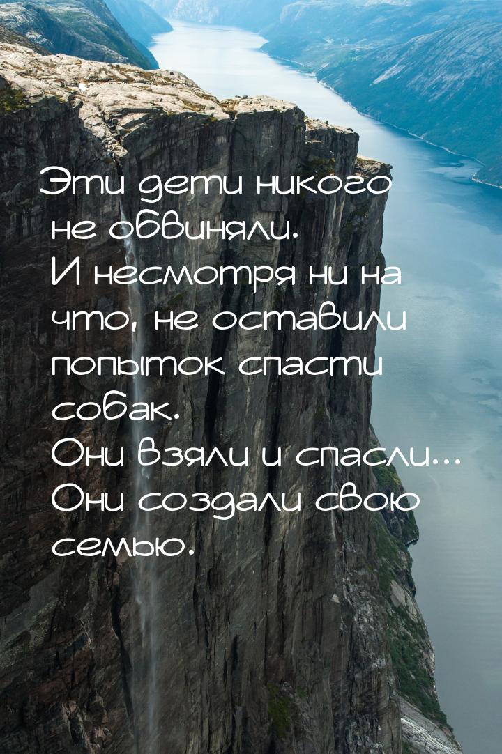 Эти дети никого не обвиняли. И несмотря ни на что, не оставили попыток спасти собак. Они в