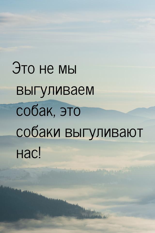 Это не мы выгуливаем собак, это собаки выгуливают нас!