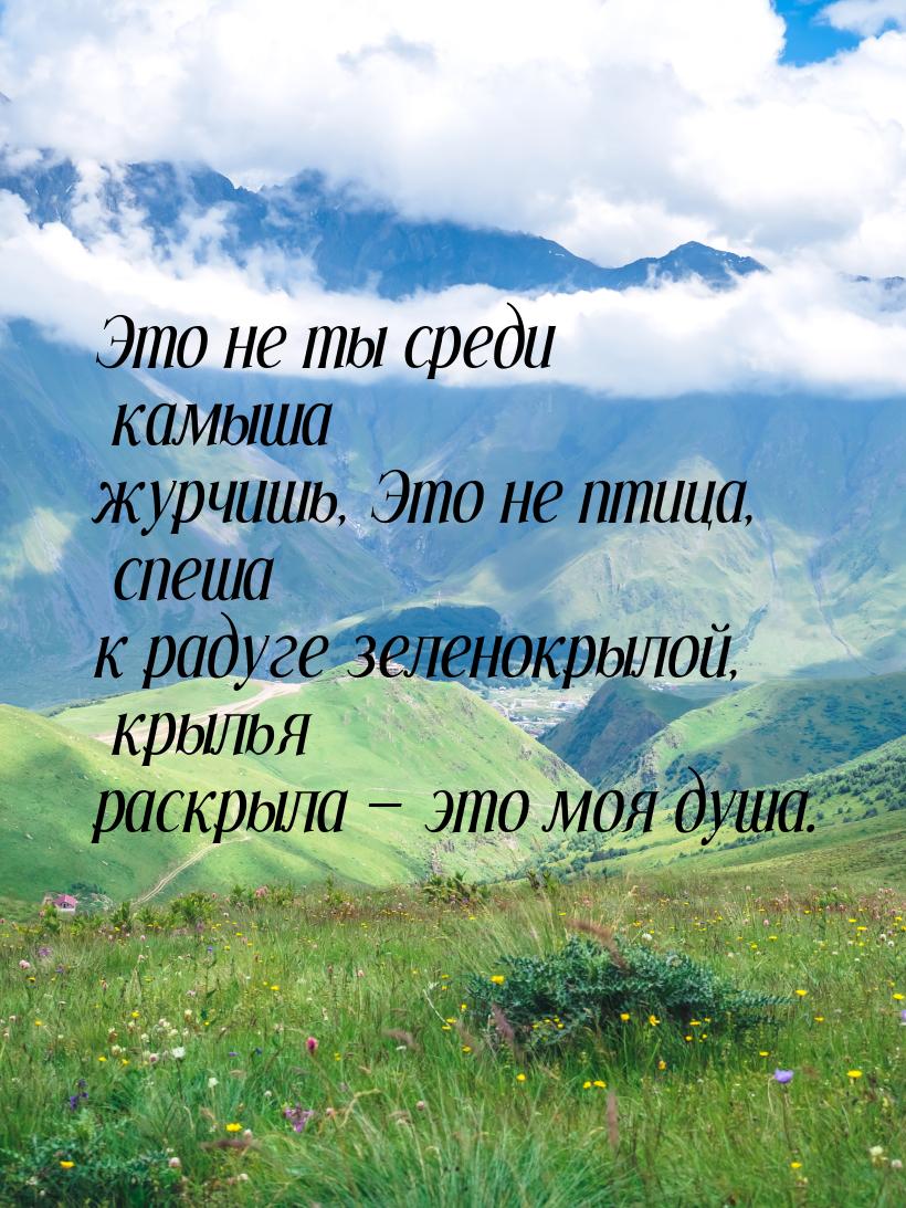 Это не ты среди камыша журчишь, Это не птица, спеша к радуге зеленокрылой, крылья раскрыла