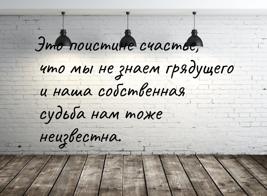 Это поистине счастье, что мы не знаем грядущего и наша собственная судьба нам тоже неизвес