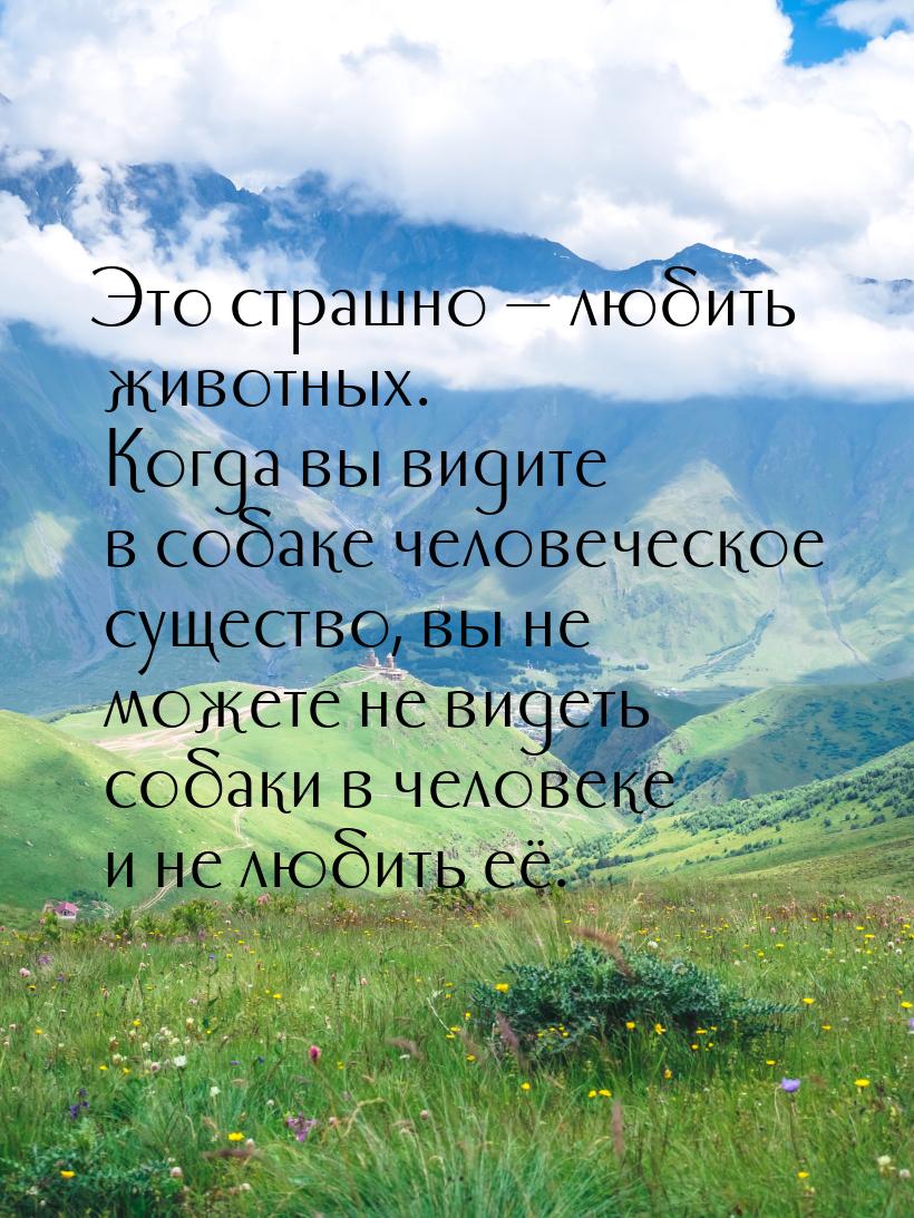 Это страшно  любить животных. Когда вы видите в собаке человеческое существо, вы не