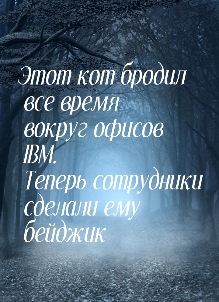 Этот кот бродил все время вокруг офисов IBM. Теперь сотрудники сделали ему бейджик