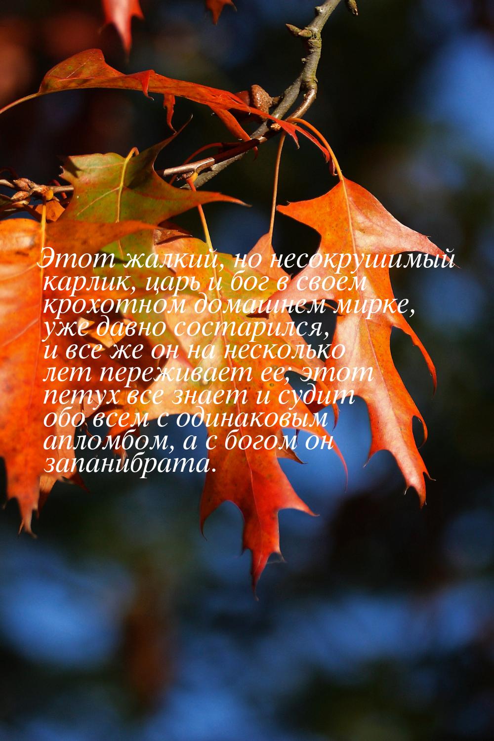 Этот жалкий, но несокрушимый карлик, царь и бог в своем крохотном домашнем мирке, уже давн