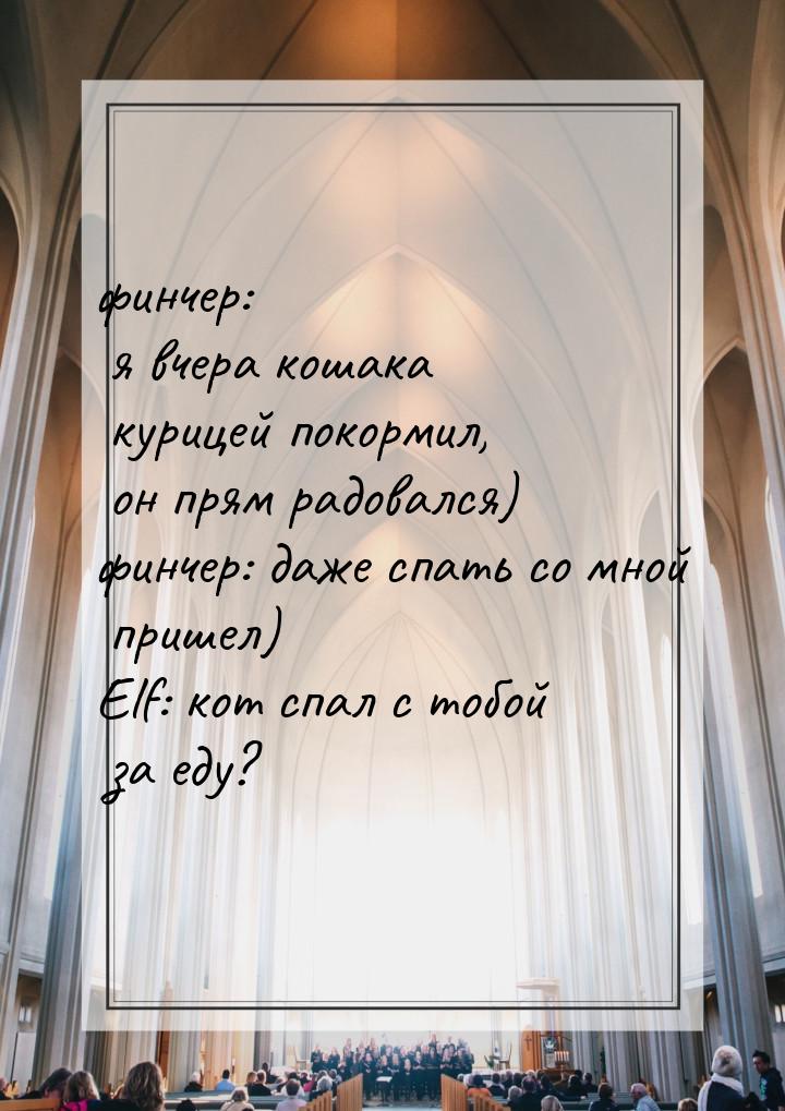 финчер: я вчера кошака курицей покормил, он прям радовался) финчер: даже спать со мной при