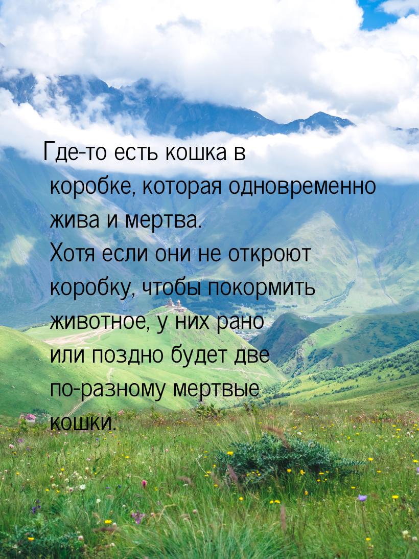 Где-то есть кошка в коробке, которая одновременно жива и мертва. Хотя если они не откроют 