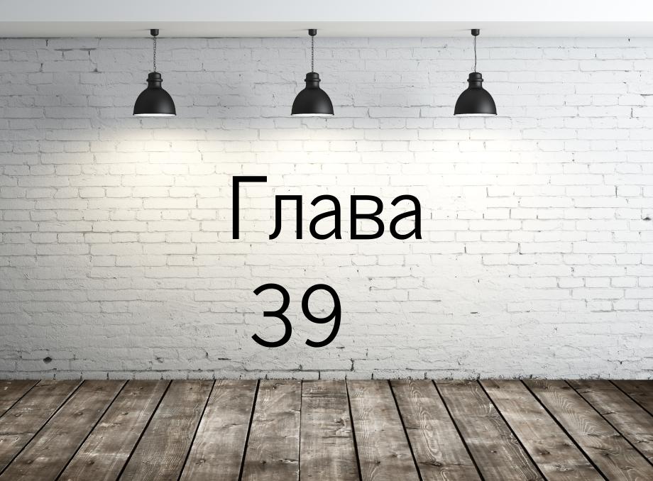 Глава 39