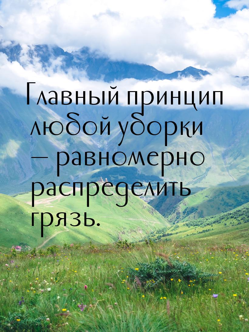 Главный принцип любой уборки  равномерно распределить грязь.