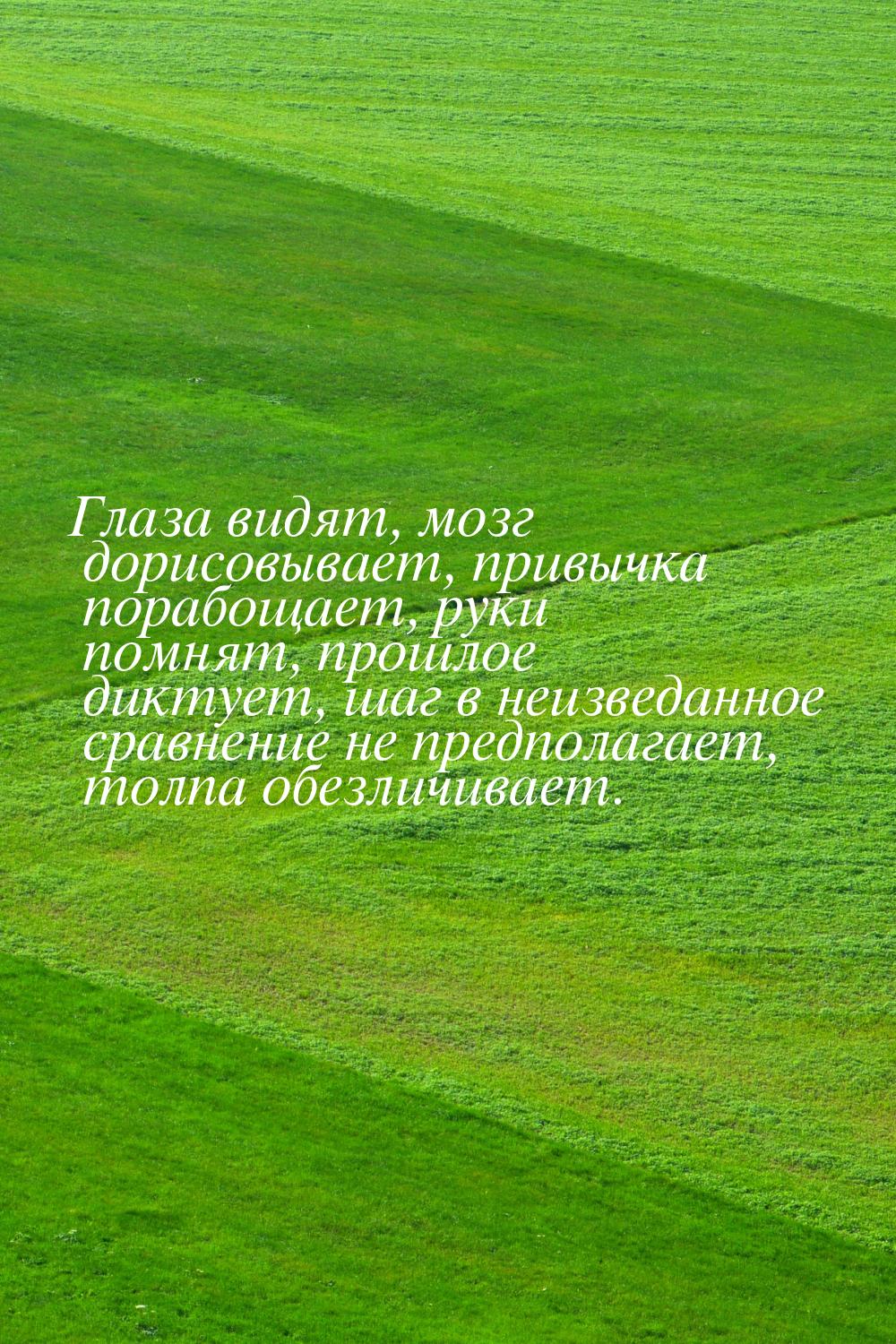 Глаза видят, мозг дорисовывает, привычка порабощает, руки помнят, прошлое диктует, шаг в н