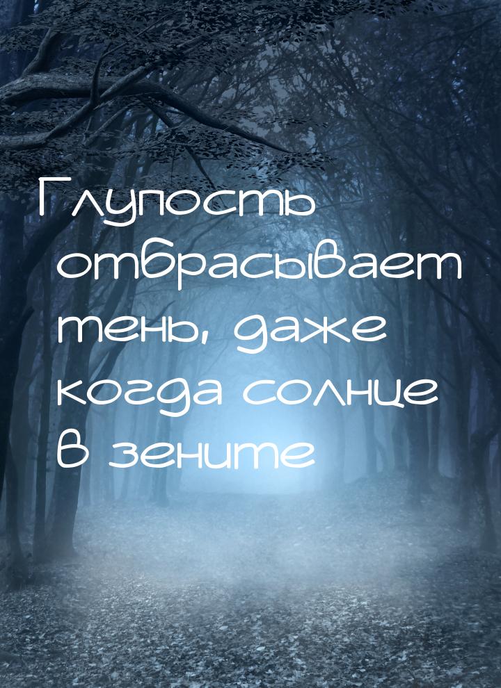 Глупость отбрасывает тень, даже когда солнце в зените…