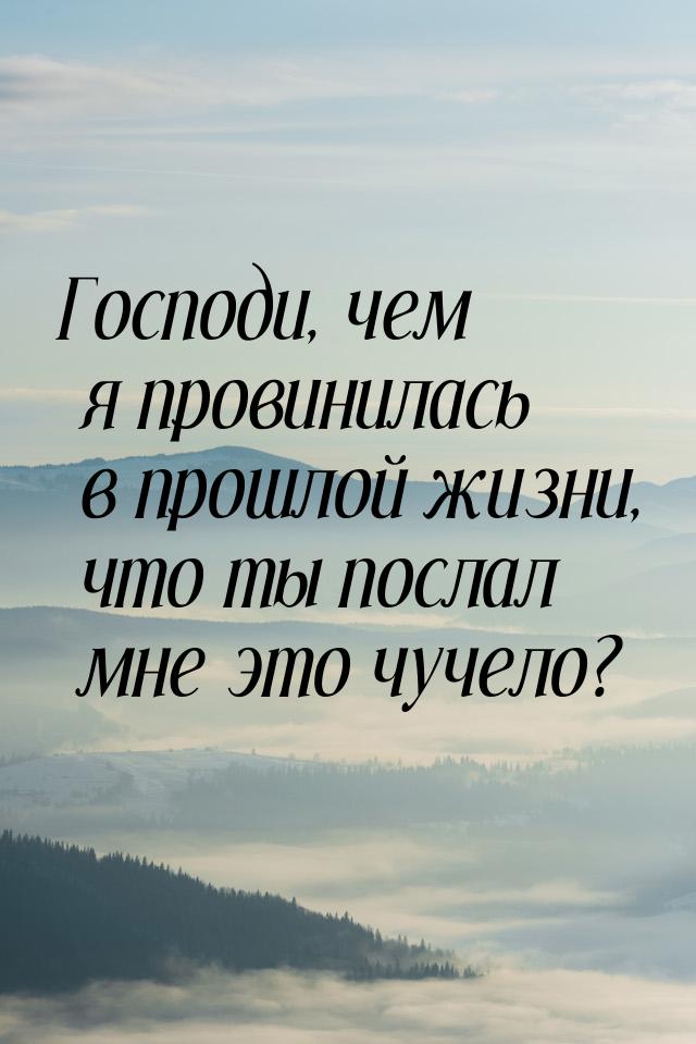 Господи, чем я провинилась в прошлой жизни, что ты послал мне это чучело?