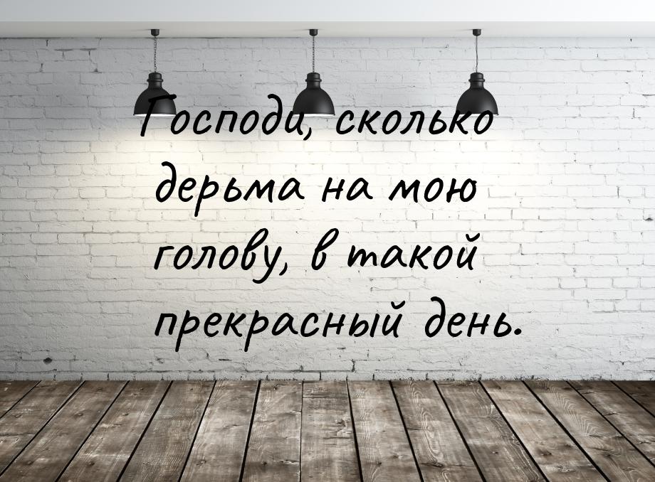 Господи, сколько дерьма на мою голову, в такой прекрасный день.