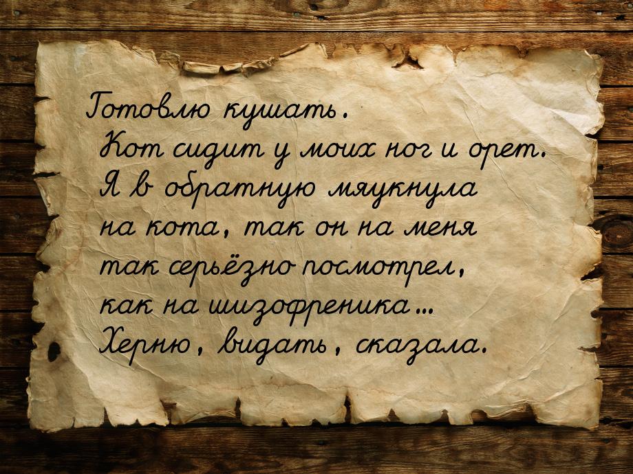 Готовлю кушать. Кот сидит у моих ног и орет. Я в обратную мяукнула на кота, так он на меня