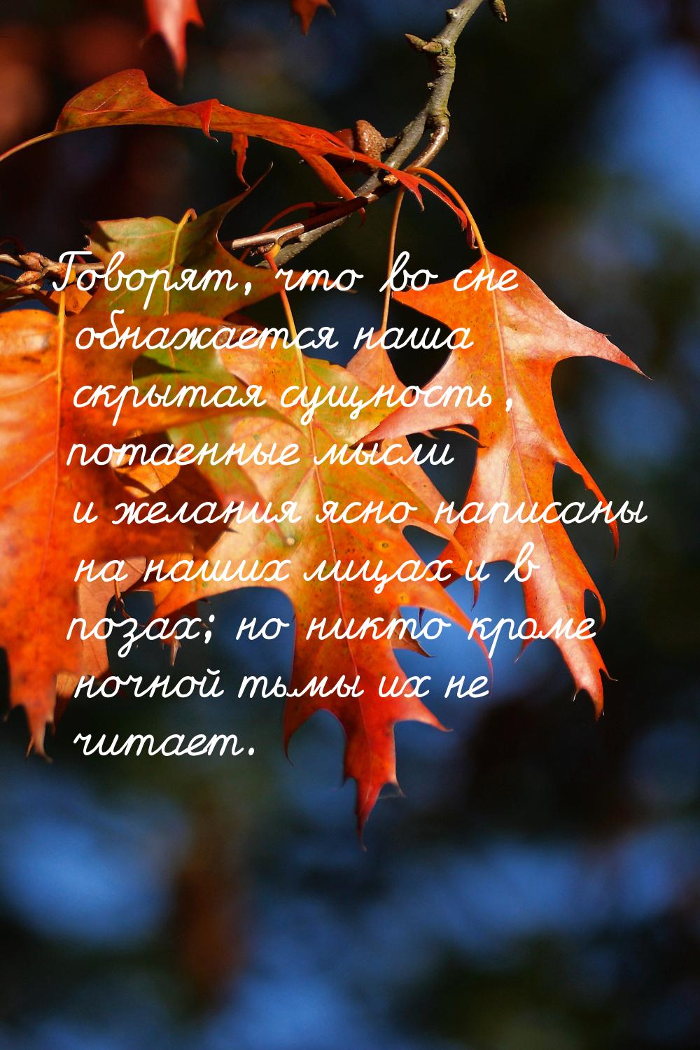 Говорят, что во сне обнажается наша скрытая сущность, потаенные мысли и желания ясно напис