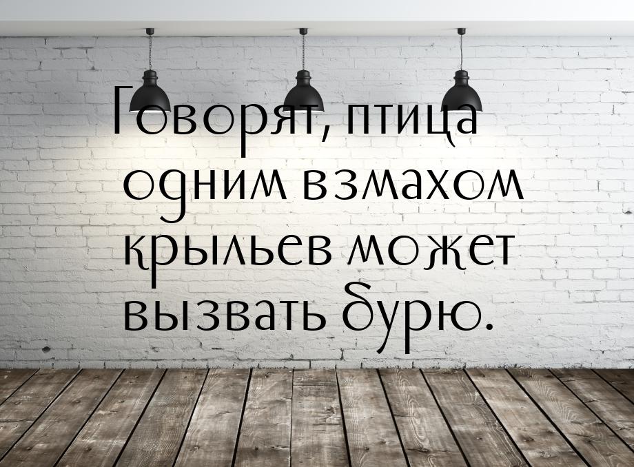 Говорят, птица одним взмахом крыльев может вызвать бурю.