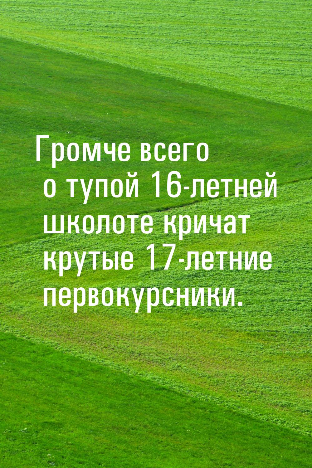 Громче всего о тупой 16-летней школоте кричат крутые 17-летние первокурсники.