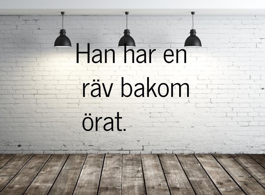 Han har en räv bakom örat.