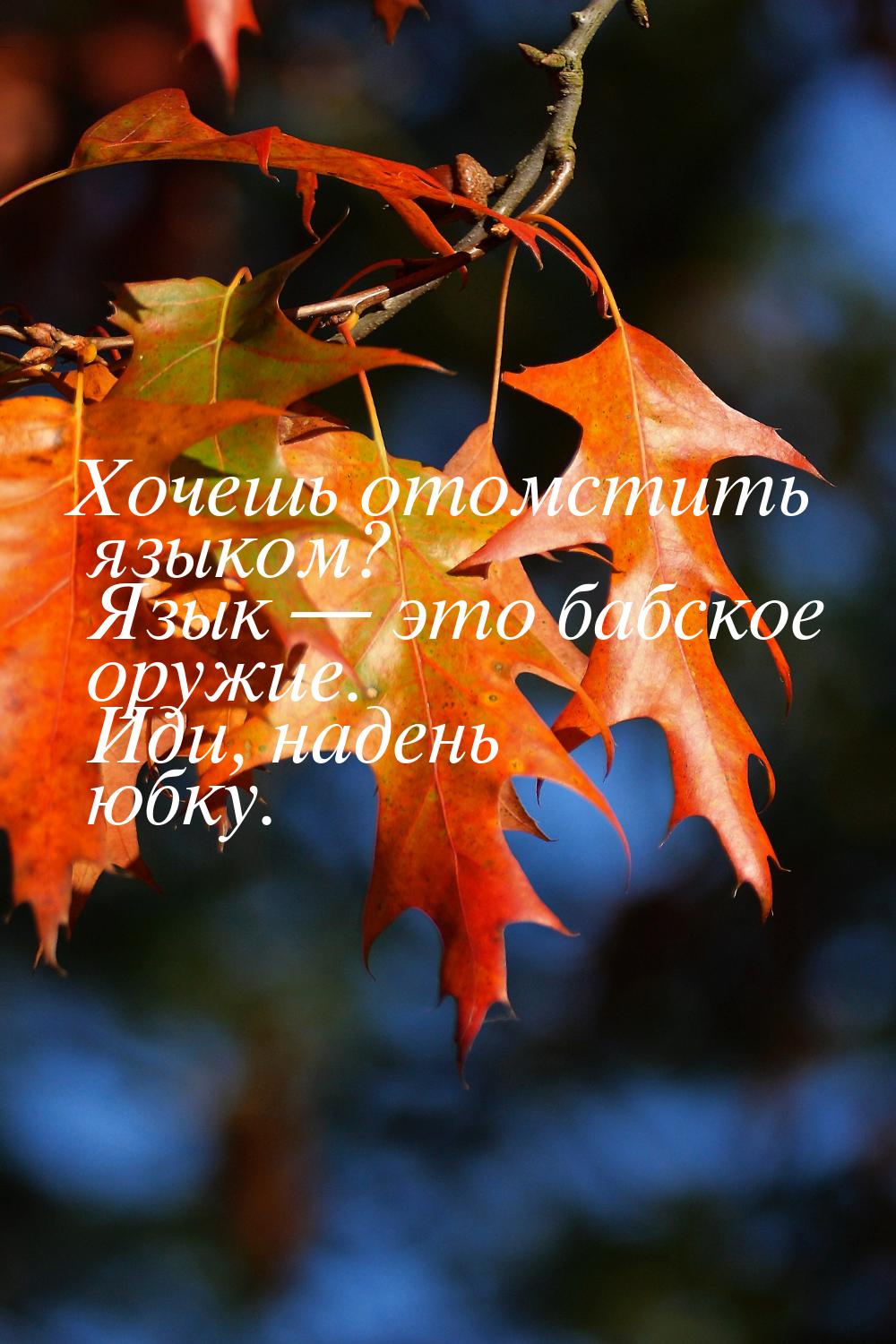 Хочешь отомстить языком? Язык  это бабское оружие. Иди, надень юбку.