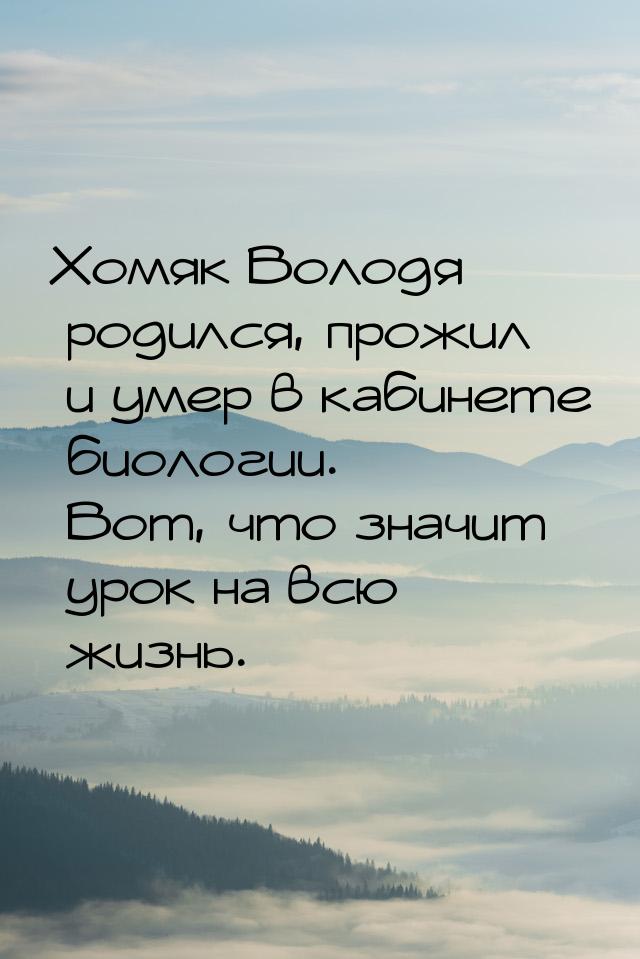 Хомяк Володя родился, прожил и умер в кабинете биологии. Вот, что значит урок на всю жизнь