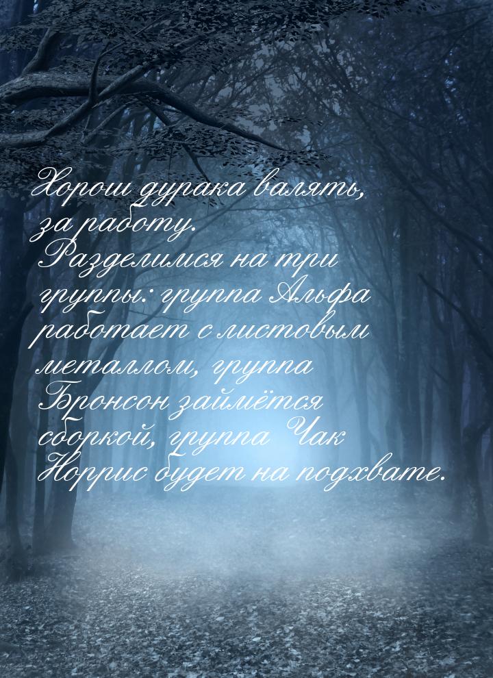 Хорош дурака валять, за работу. Разделимся на три группы: группа Альфа работает с листовым