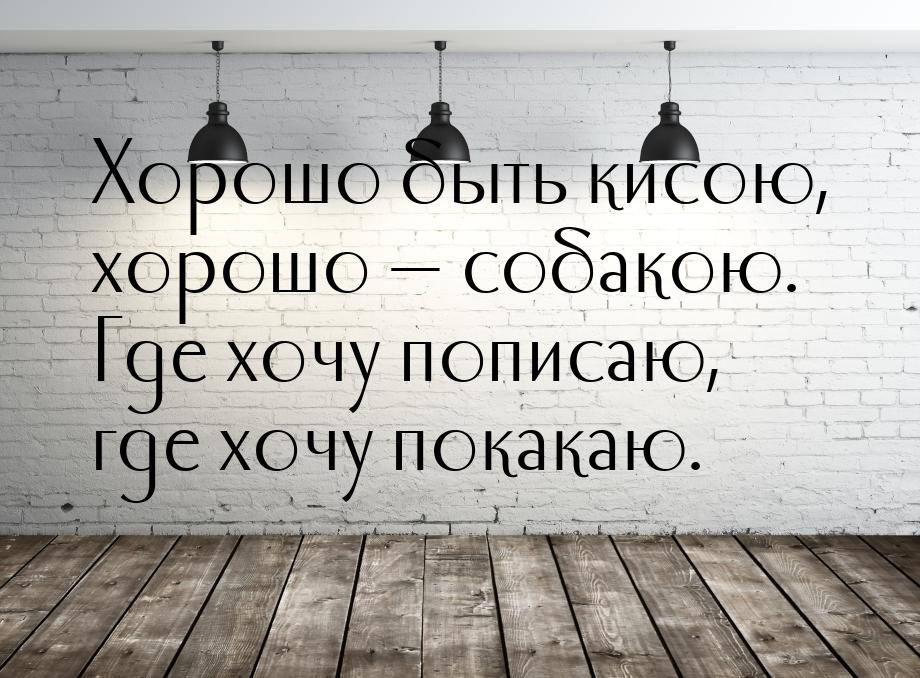 Хорошо быть кисою, хорошо  собакою. Где хочу пописаю, где хочу покакаю.