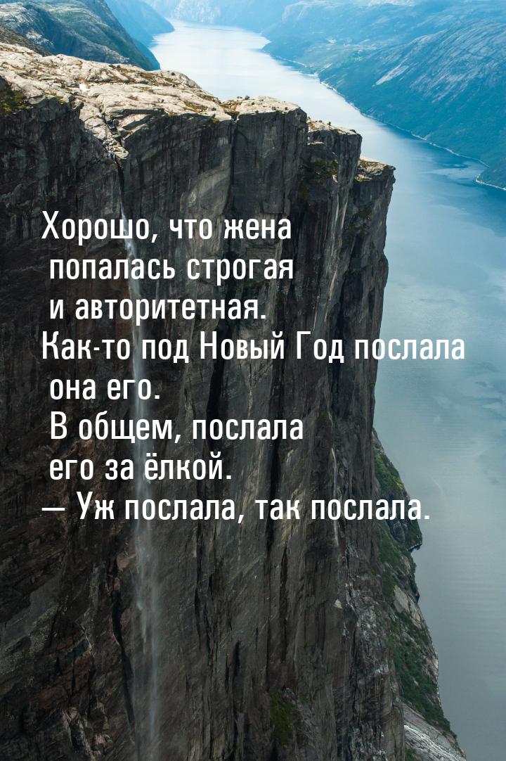 Хорошо, что жена попалась строгая и авторитетная. Как-то под Новый Год послала она его. В 