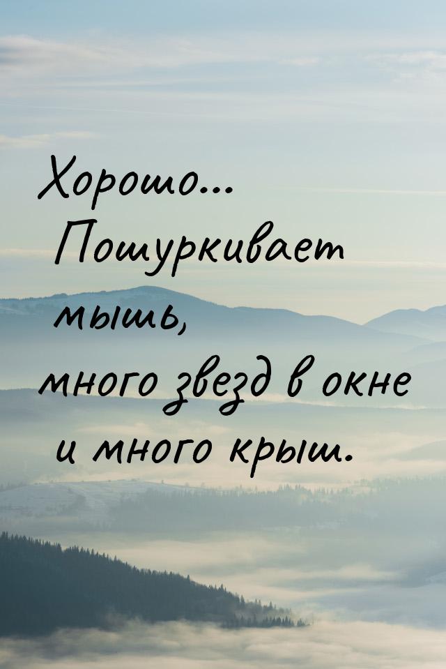 Хорошо... Пошуркивает мышь, много звезд в окне и много крыш.