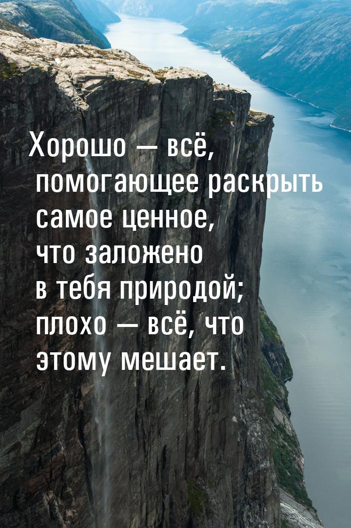 Хорошо  всё, помогающее раскрыть самое ценное, что заложено в тебя природой; плохо 