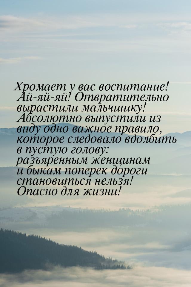 Хромает у вас воспитание! Ай-яй-яй! Отвратительно вырастили мальчишку! Абсолютно выпустили