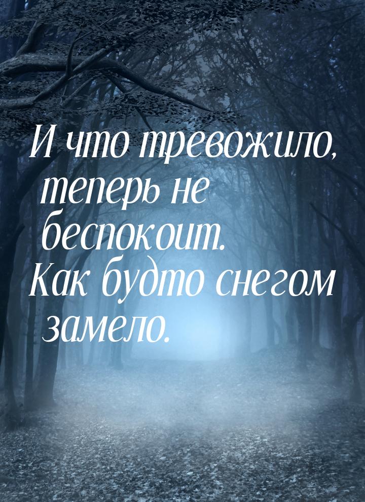 И что тревожило, теперь не беспокоит. Как будто снегом замело.