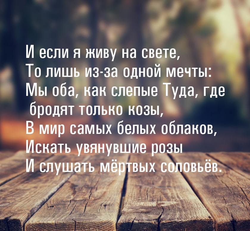 И если я живу на свете, То лишь из-за одной мечты: Мы оба, как слепые Туда, где бродят тол