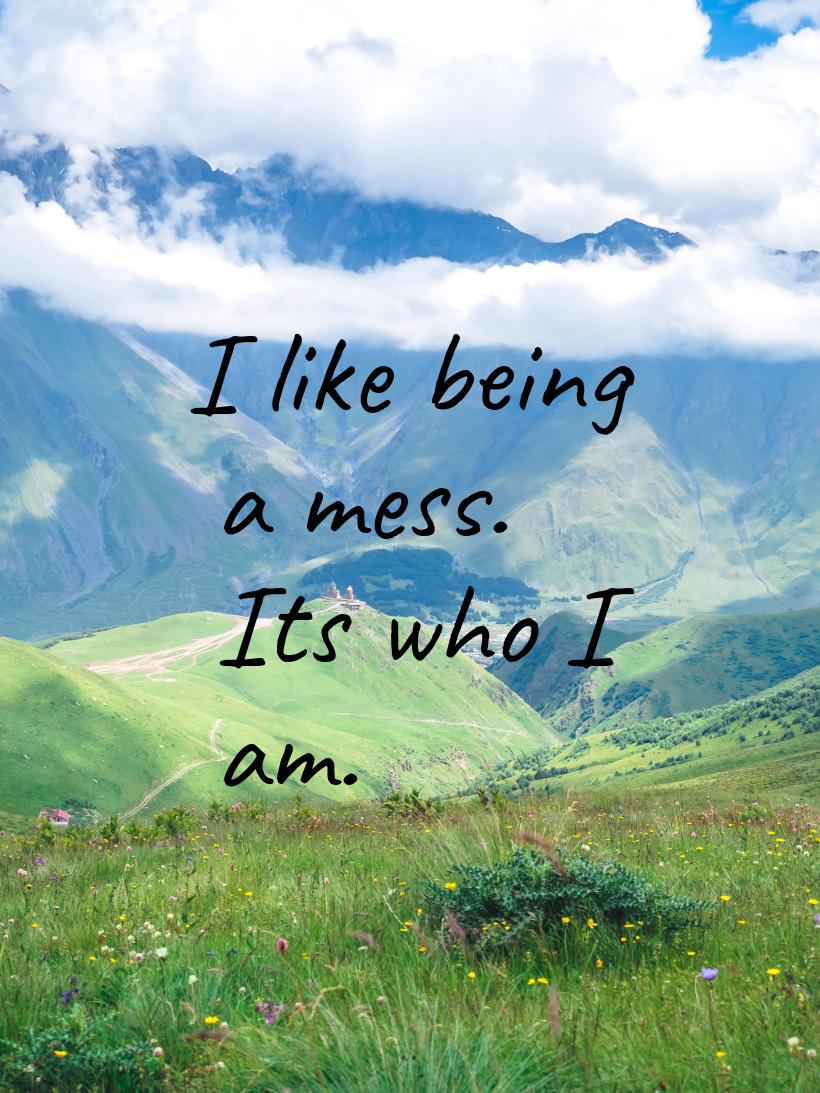 I like being a mess. Its who I am.
